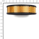 Briggs &amp; Stratton Genuine 841856 FILTER-A/C CARTRIDGE Replacement Part