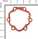 Briggs &amp; Stratton Genuine A2069GS GASKET-HEAD Replacement Part