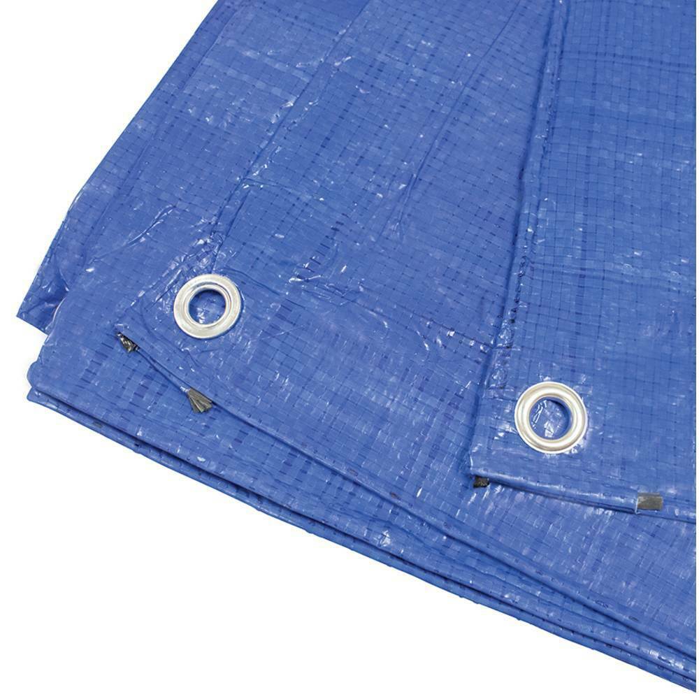 Stens 756-130 Tarp 6 Feet   8 Feet All Purpose Tarp  Blue polyethylene