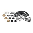 Briggs &amp; Stratton Genuine 190636GS KIT-SEAL Replacement Part
