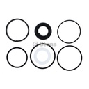 Stens 1701-1316 Atlantic Parts Loader Cyl Packing Kit CaseIH G109476