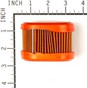 Briggs &amp; Stratton Genuine 790166 FILTER-A/C CARTRIDGE Replacement Part