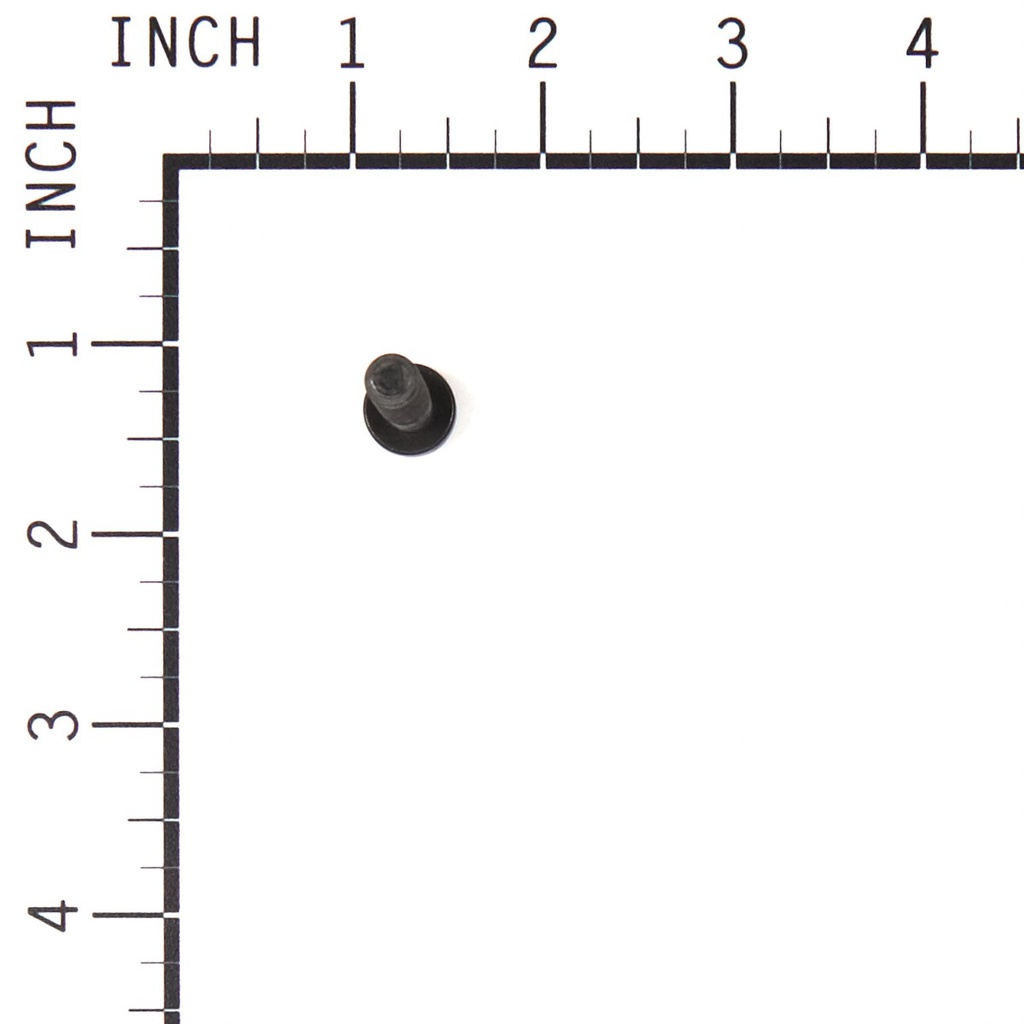Briggs &amp; Stratton Genuine 791118 SCREW Replacement Part Lawnmower