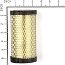 Briggs &amp; Stratton Genuine 793569 FILTER-AIR CLEANER CARTRIDGE