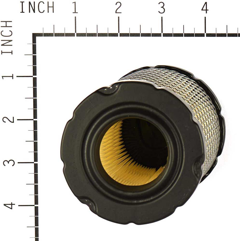 Briggs &amp; Stratton Genuine 793569 FILTER-AIR CLEANER CARTRIDGE
