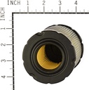 Briggs &amp; Stratton Genuine 793569 FILTER-AIR CLEANER CARTRIDGE