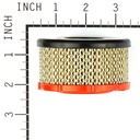 Briggs &amp; Stratton Genuine 797819 FILTER-AIR CLEANER CA Replacement Part