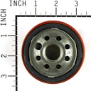 Briggs &amp; Stratton Genuine 798576 FILTER-OIL Replacement Part Lawnmower