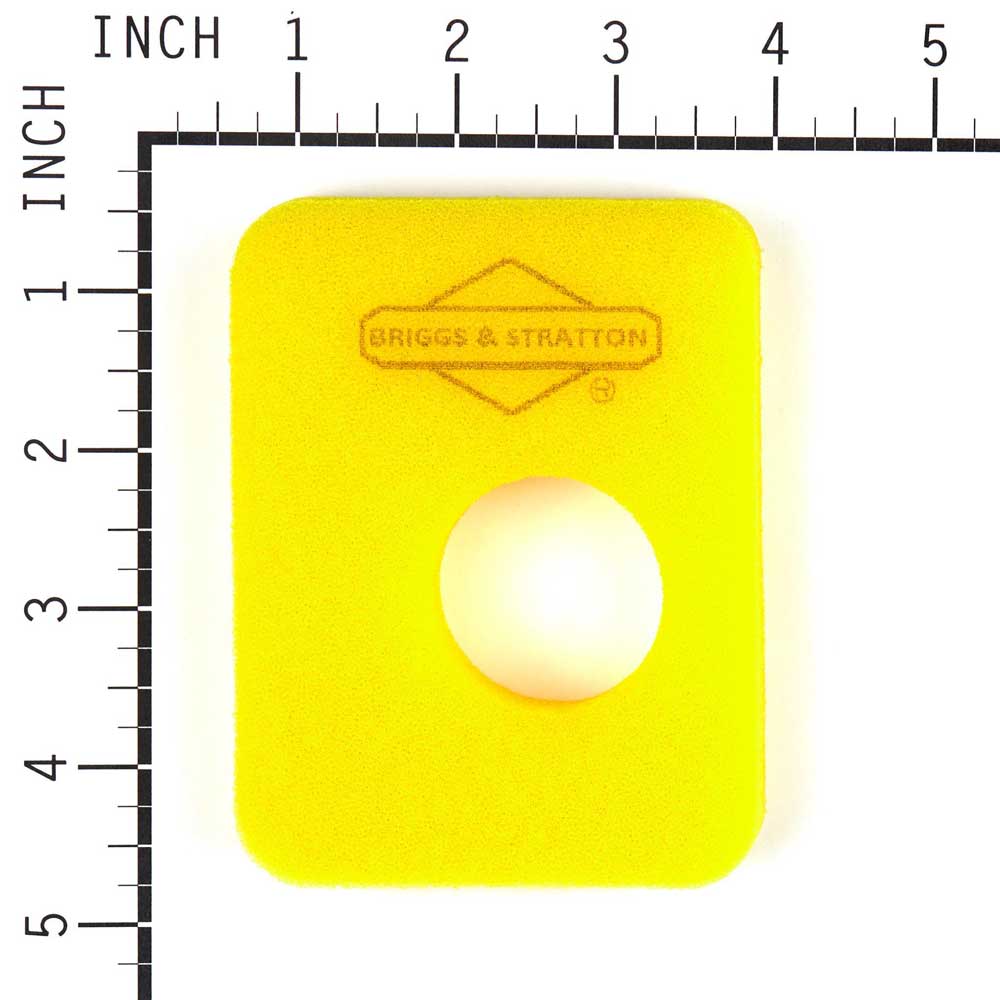 Briggs &amp; Stratton Genuine 799579 FILTER-AIR CLEANER FO Replacement Part