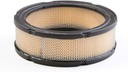 Briggs &amp; Stratton Genuine 841359 FILTER-A/C CARTRIDGE Replacement Part