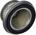 Stens 100-792 Air Filter Combo Honda 17210-890-003 17210-890-013 17210-890-505