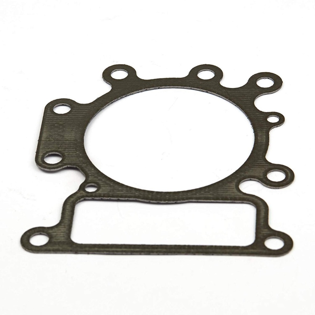 Stens 465-516 Head Gasket Fits Briggs &amp; Stratton 699168 796584 310707 311707