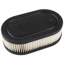 Stens 102-851 Air Filter Fits Briggs &amp; Stratton 4247 5432 5432K 593260 798452