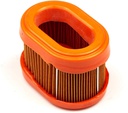 Briggs &amp; Stratton Genuine 790166 FILTER-A/C CARTRIDGE Replacement Part