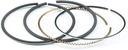 Briggs &amp; Stratton Genuine 791098 RING SET-STD Replacement Part