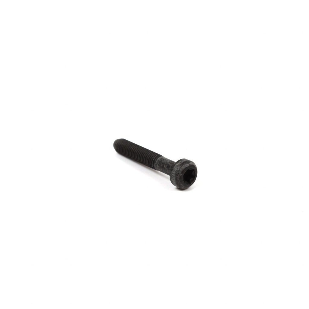 Briggs &amp; Stratton Genuine 791118 SCREW Replacement Part Lawnmower
