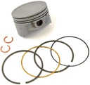 Briggs &amp; Stratton Genuine 791786 PISTON ASSEMBLY Lawnmower