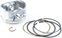 Briggs &amp; Stratton Genuine 792023 PISTON ASSY-STD Lawnmower