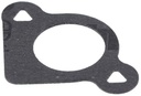 Briggs &amp; Stratton Genuine 792389 GASKET-INTAKE Replacement Part