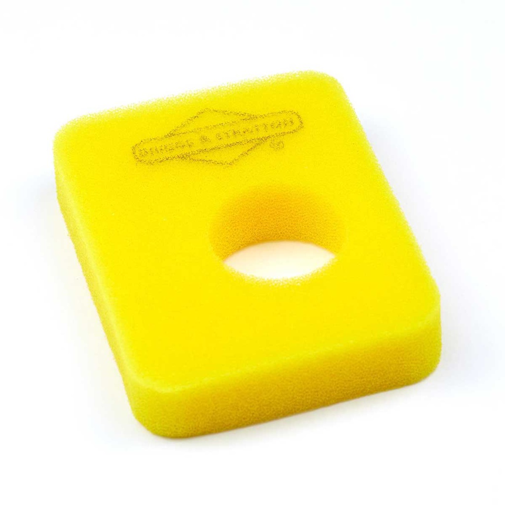 Briggs &amp; Stratton Genuine 799579 FILTER-AIR CLEANER FO Replacement Part