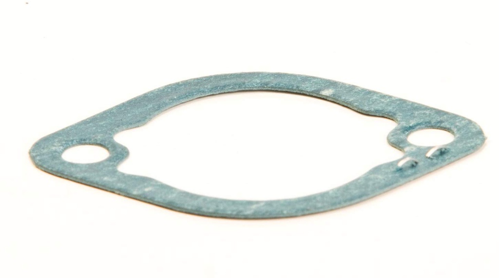 Briggs &amp; Stratton Genuine 820385 GASKET-INTAKE Replacement Part