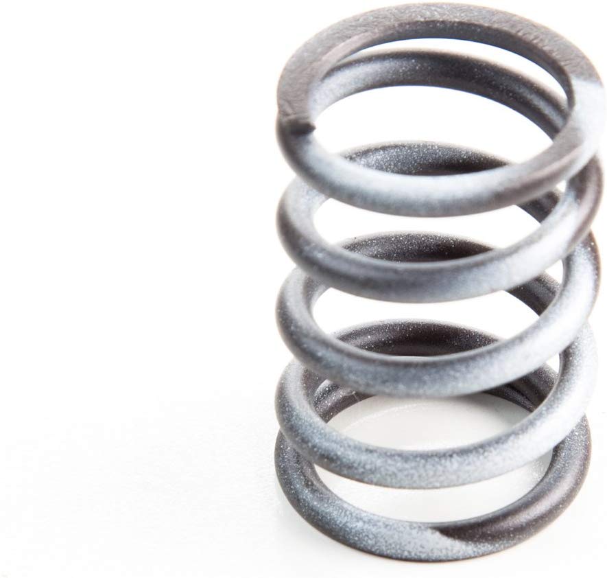 Briggs &amp; Stratton Genuine 820406 SPRING-VALVE Replacement Part