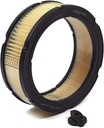 Briggs &amp; Stratton Genuine 841359 FILTER-A/C CARTRIDGE Replacement Part