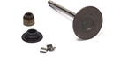 Briggs &amp; Stratton Genuine 843730 VALVE-INTAKE Replacement Part