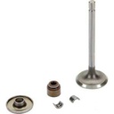 Briggs &amp; Stratton Genuine 843751 VALVE-INTAKE Replacement Part