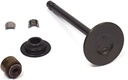 Briggs &amp; Stratton Genuine 844787 VALVE-EXHAUST Replacement Part