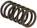 Briggs &amp; Stratton Genuine 845589 SPRING-VALVE Replacement Part