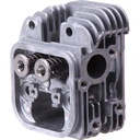 Briggs &amp; Stratton Genuine 597136 HEAD-CYLINDER Lawnmower