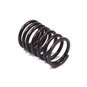 Briggs &amp; Stratton Genuine 690520 SPRING-VALVE lawnmower Original