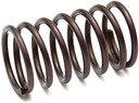 Briggs &amp; Stratton Genuine 691270 SPRING-VALVE Lawnmower Original