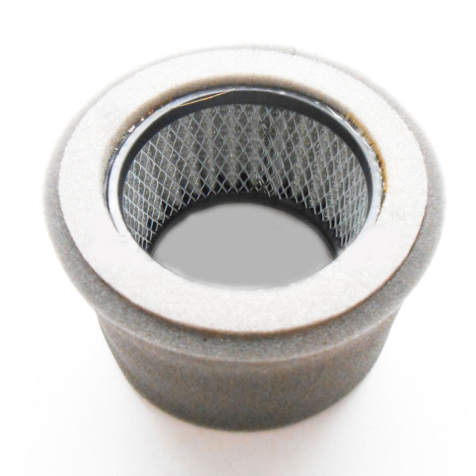 Briggs &amp; Stratton Genuine 1573620101YP ELEMENT V-STD CLEANER Part