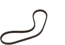 Briggs &amp; Stratton Genuine 1754211YP BELT AUGER Replacement Part