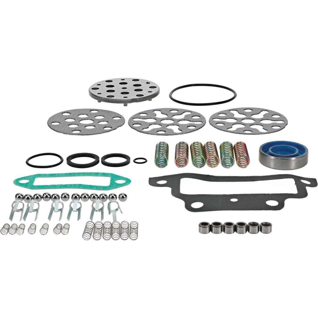 Stens  1101-0091   
 Atlantic Quality Parts Hydraulic Pump Repair Kit