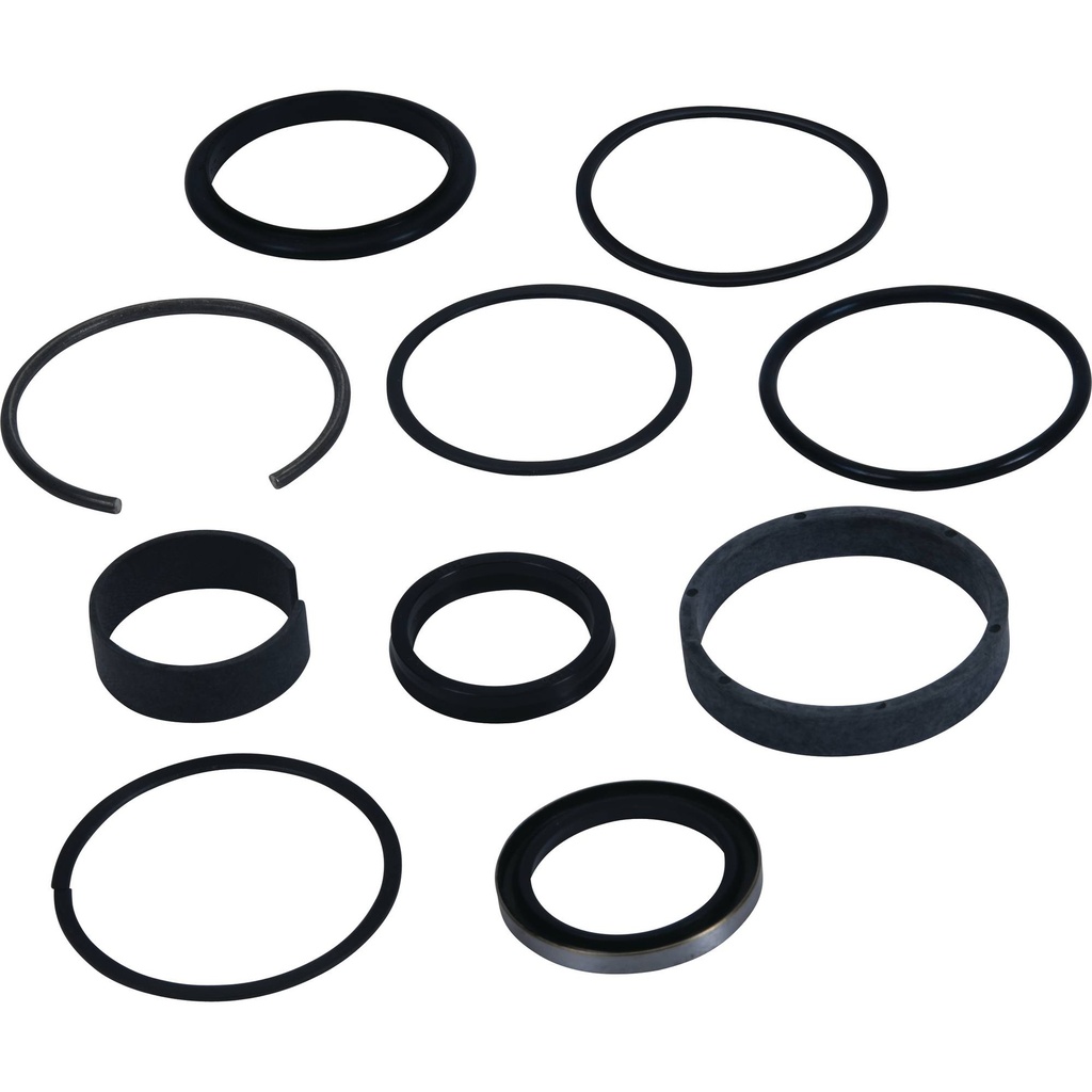 Stens  1101-1259   
 Atlantic Quality Parts Hydraulic Cylinder Seal Kit