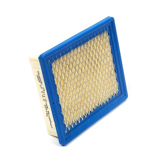 [BS-73111GS] Briggs &amp; Stratton Genuine 73111GS FILTER-CARTRIDGE Replacement Part
