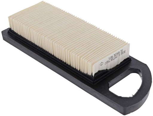 [BS-790263] Briggs &amp; Stratton Genuine 790263 FILTER-A/C CARTRIDGE Replacement Part