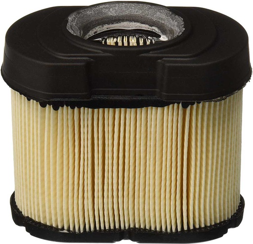 [BS-798748] Briggs &amp; Stratton Genuine 798748 FILTER-AIR CLEANER CA Replacement Part