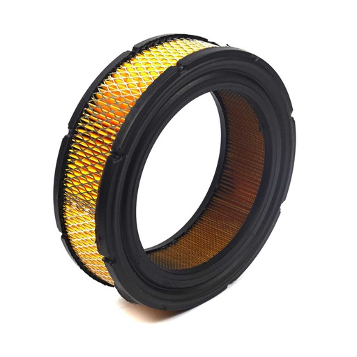 [BS-841856] Briggs &amp; Stratton Genuine 841856 FILTER-A/C CARTRIDGE Replacement Part