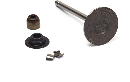 [BS-843730] Briggs &amp; Stratton Genuine 843730 VALVE-INTAKE Replacement Part