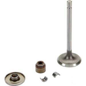 [BS-843751] Briggs &amp; Stratton Genuine 843751 VALVE-INTAKE Replacement Part