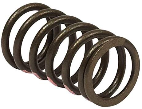 [BS-845589] Briggs &amp; Stratton Genuine 845589 SPRING-VALVE Replacement Part