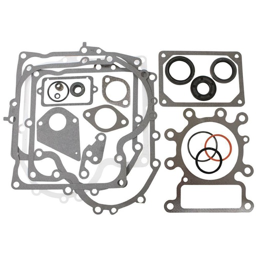 [ST-480-039] Stens 480-039 Gasket Set Fits Fits Briggs &amp; Stratton 495993 For 287707  287777
