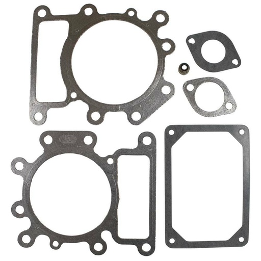 [ST-480-050] Stens 480-050 Gasket Set Fits Fits Briggs &amp; Stratton 794152 For 31A807  31E877