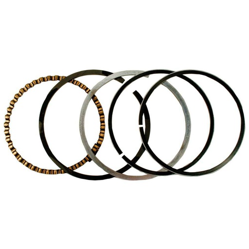 [ST-500-751] Stens 500-751 Piston Rings STD Fits Gravely 035160  20620900  45 108 00