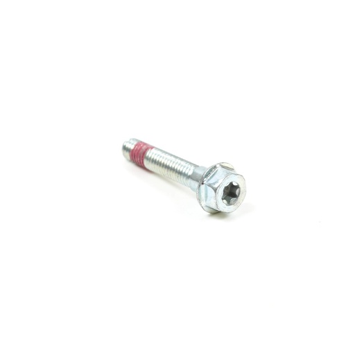 [BS-699484] Briggs &amp; Stratton Genuine 699484 SCREW Lawnmower Original