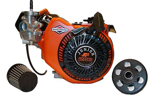 [BS-124332-8202] Briggs &amp; Stratton Genuine 124332-8202 ENGINE JR 206 Replacement Part